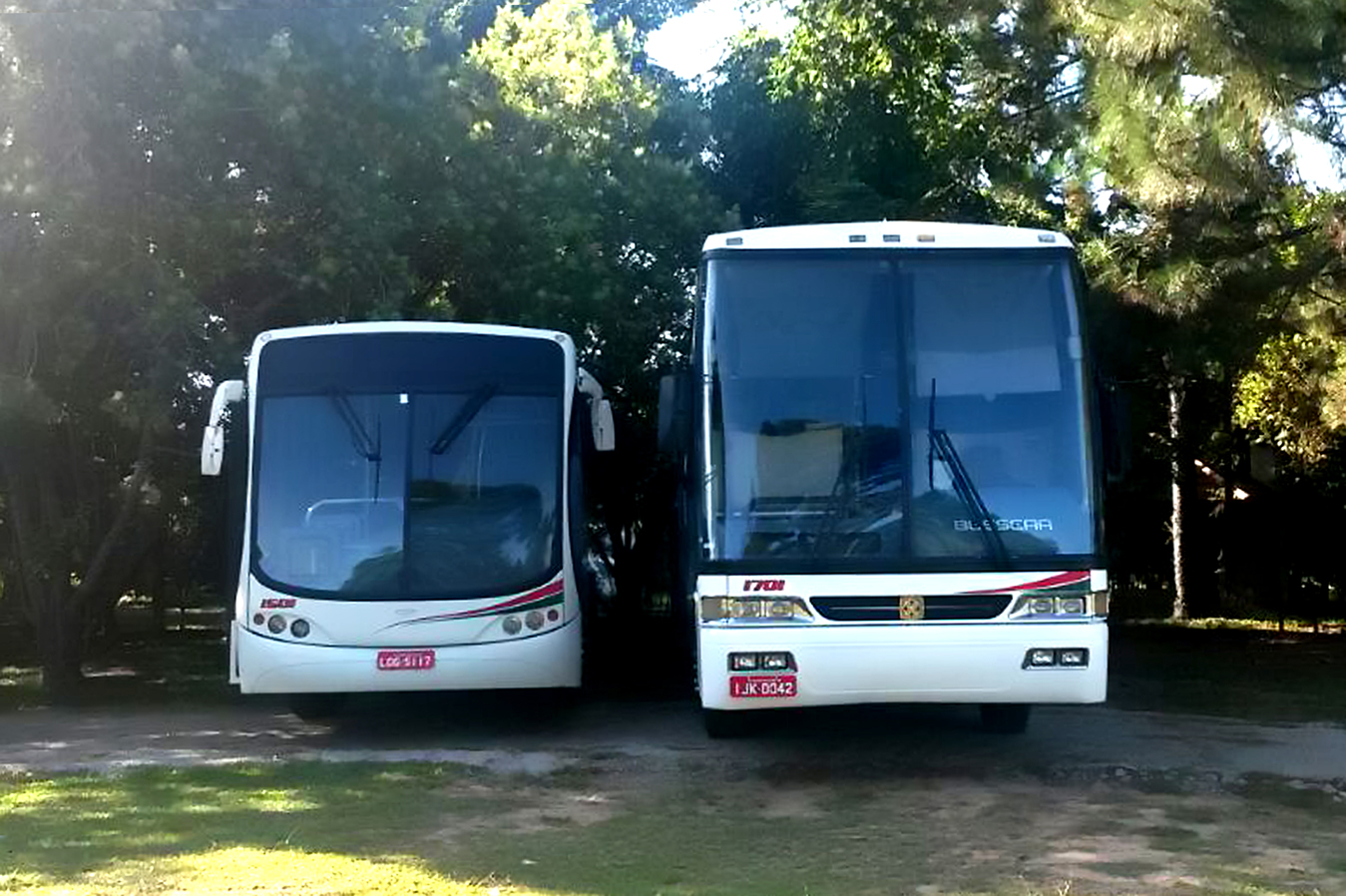 International Air freight